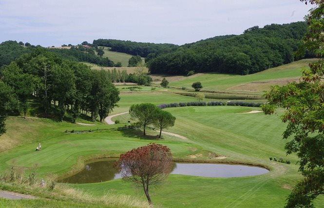 pallanne