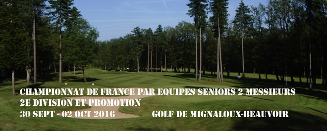 mignaloux beauvoir TROU N°11 PNG copie